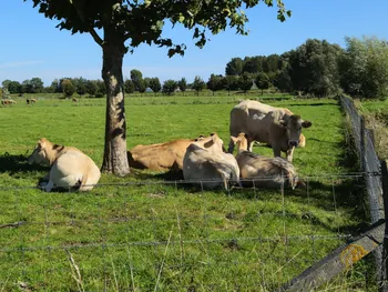 Rhodesgoed fiets- en wandel 2-daagse, Izegem (België)